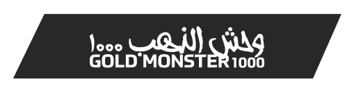 Artvin Minelab Gold Monster 1000 - Gold Monster 1000 küçük altın dedektörü